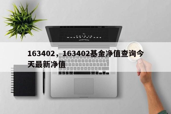 163402,163402基金净值查询今天最新净值