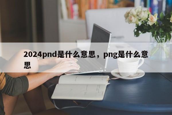 2024pnd是什么意思,png是什么意思