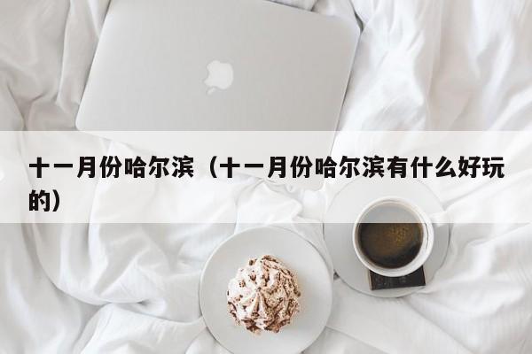 十一月份哈尔滨（十一月份哈尔滨有什么好玩的）