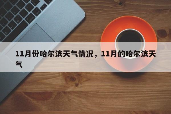 11月份哈尔滨天气情况，11月的哈尔滨天气