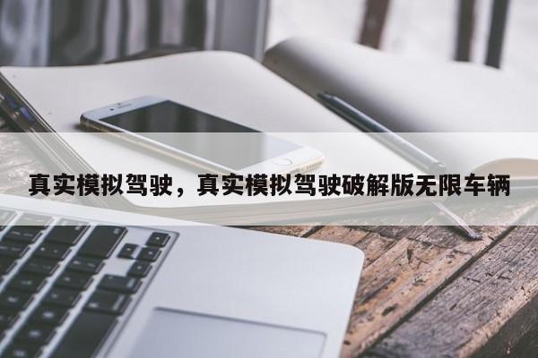 真实模拟驾驶，真实模拟驾驶破解版无限车辆